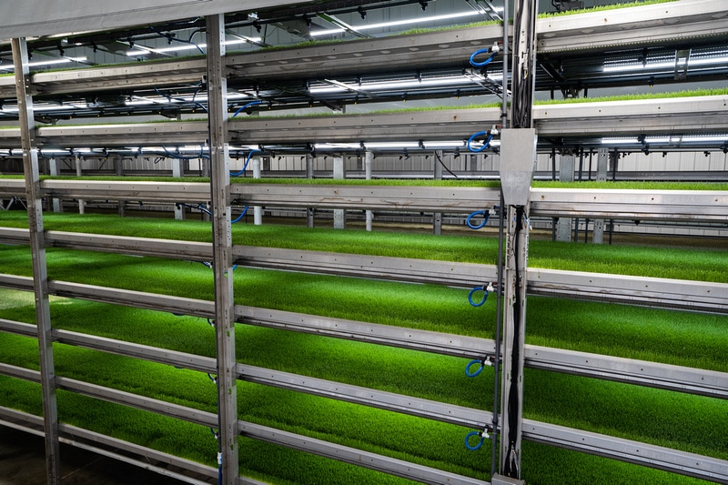 CubicFarms Announces $1.26M HydroGreen Sales in North and South Dakota